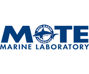 MOTE-Marine