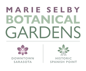 Selby-Botanical-Gardens